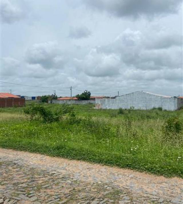 WhatsApp Image 2026-02-25 at 17.17.22.jpeg